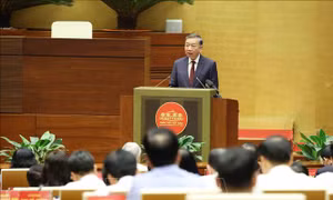 Phát biểu của Tổng Bí thư, Chủ tịch nước Tô Lâm tại Hội nghị quán triệt và triển khai một số Nghị quyết, Chỉ thị của Bộ Chính trị