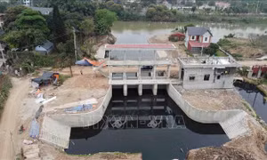 Xử lý ô nhiễm môi trường hệ thống công trình thủy lợi Bắc Hưng Hải