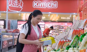 Nguyên tắc, tiêu chí phân chia thuế giá trị gia tăng cho từng địa phương
