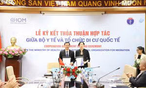 Việt Nam đẩy mạnh hợp tác quốc tế cải thiện dịch vụ y tế cho lao động di cư