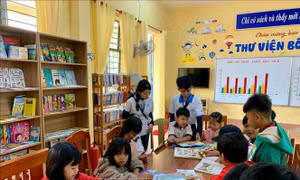 Những cánh chim không mỏi trên bầu trời nhân ái
