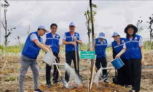 TP Hồ Chí Minh hướng tới mục tiêu đô thị xanh và Net Zero