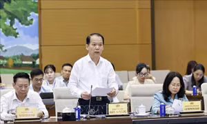 Thông qua Báo cáo tiếp thu, giải trình dự thảo Luật Hòa giải ở cơ sở (sửa đổi)