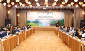 Khẳng định giá trị và thương hiệu độc đáo của Quần thể danh thắng Tràng An