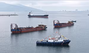 Xây dựng Bến cảng container Liên Chiểu theo mô hình 'cảng xanh, cảng thông minh'