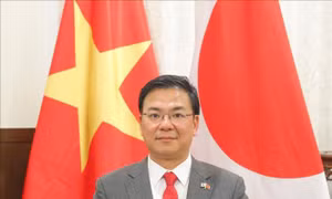 Đẩy mạnh hợp tác nghị viện để làm sâu sắc thêm quan hệ Đối tác Chiến lược Toàn diện Việt Nam - Nhật Bản