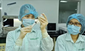Phấn đấu đến 2030 làm chủ được công nghệ sản xuất 15 loại vaccine cho tiêm chủng