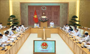 Kiến tạo hành lang pháp lý để phát triển đô thị đặc biệt và đặc khu kinh tế