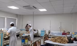 Vụ nghi ngộ độc thực phẩm tại Phan Thiết: Tạm ngừng hoạt động cơ sở kinh doanh bánh mì