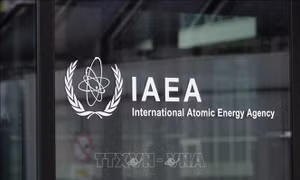 IAEA xác nhận Syria từng bí mật xây lò phản ứng hạt nhân
