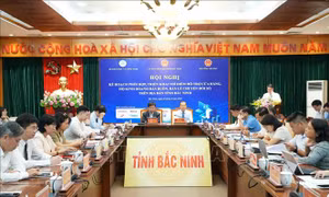 Thí điểm hỗ trợ cửa hàng, hộ kinh doanh bán buôn, bán lẻ chuyển đổi số