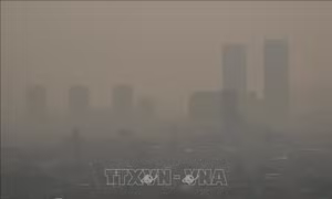 Thủ đô Jakarta nỗ lực kiểm soát chất lượng không khí