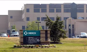 Tập đoàn dược phẩm Merck cắt giảm nhân sự