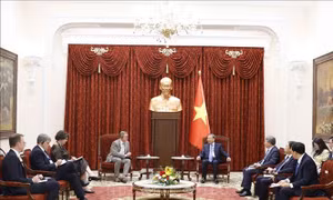 Tổng Bí thư, Chủ tịch nước Tô Lâm tiếp Phó Chủ tịch Quốc hội Cộng hòa Liên bang Đức