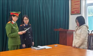 Khởi tố, bắt tạm giam nữ giúp việc có hành vi hành hạ người già yếu, ốm đau