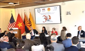 30 năm quan hệ Việt Nam - Mỹ: Vai trò xuyên suốt của hợp tác công – tư