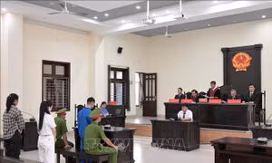 Lập 20 gian hàng để tạo đơn ‘ảo’ bán thực phẩm giả, 3 bị cáo lĩnh 46 năm tù