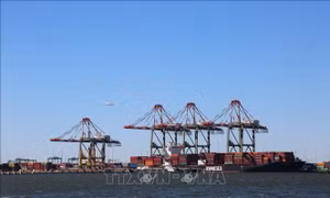 Thuế quan của Mỹ: Gỗ nhập khẩu vào Mỹ chịu mức thuế mới