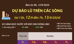 Dự báo lũ trên các sông đến 7 giờ ngày 13/9/2024