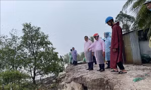 Gia cố các tuyến đê bao xung yếu để ứng phó triều cường