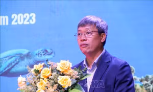 Giao quyền Chủ tịch UBND tỉnh Quảng Nam đối với ông Hồ Quang Bửu
