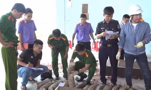 Phát hiện hơn 1,1 tấn ngà voi cất giấu tinh vi trong 3 container gỗ
