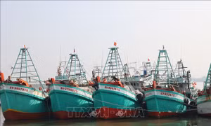Giải bài toán 'khát' lao động nông thôn