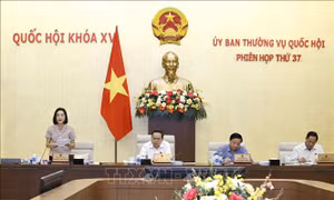 Cho ý kiến về sửa đổi, bổ sung một số điều của Luật Quảng cáo