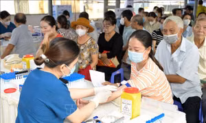Chăm sóc sức khỏe miễn phí cho 400 cư dân xã Long Sơn, Bà Rịa - Vũng Tàu