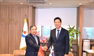Tăng cường hợp tác song phương chiến lược giữa các thành phố Việt Nam - Hàn Quốc
