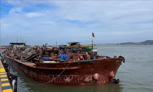 Bắt giữ tàu chở cát không rõ nguồn gốc trên vùng biển Cần Giờ