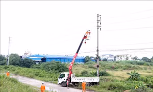 Ứng phó bão số 3: Hải Phòng đảm bảo an toàn cho người dân và bình ổn thị trường