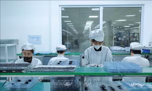 Đổi mới cách tiếp cận, thu hút nhân lực chất lượng cao 