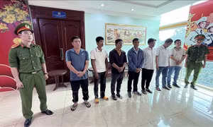 Khởi tố 8 đối tượng đưa, nhận hối lộ trong kiểm dịch động vật
