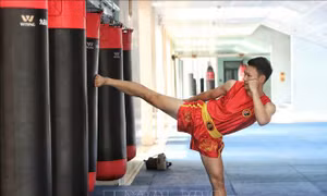 Cột mốc ấn tượng mới cho Wushu Việt Nam
