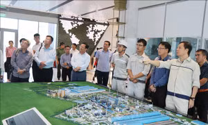 Đoàn công tác Ban Kinh tế Trung ương làm việc tại Quảng Ngãi