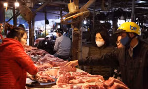 CPI tháng 2 tăng 0,34% do giá thịt lợn, giá thuê nhà
