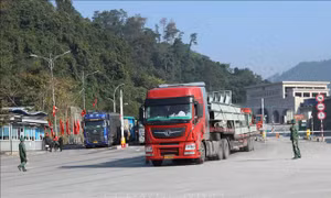 Doanh nghiệp Lạng Sơn kiến nghị giải quyết các vướng mắc về xuất nhập khẩu hàng hóa