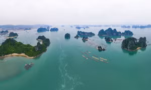 Quảng Ninh: Đưa vào khai thác tuyến tham quan vịnh Bái Tử Long