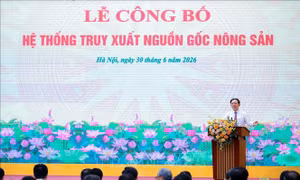 Điểm tin kinh tế Việt Nam nổi bật ngày 30/6/2026