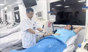Tình nguyện viên hiến máu cứu bệnh nhân Anh có nhóm máu hiếm   