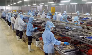 Niềm tin kinh doanh tiếp tục ghi nhận sự hồi phục