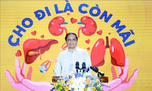 Thủ tướng kêu gọi mọi người dân Việt Nam đăng ký hiến tạng - gieo mầm sự sống