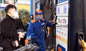 Bãi bỏ lộ trình áp dụng tỷ lệ phối trộn nhiên liệu sinh học với nhiên liệu truyền thống 