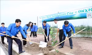 Tuổi trẻ chung tay xây dựng nông thôn mới theo hướng thiết thực, hiệu quả
