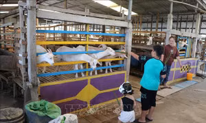 'Hút khách' từ quy hoạch 3 vùng du lịch sinh thái