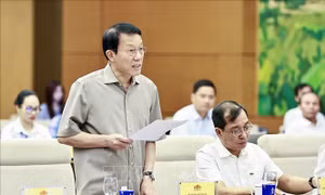 Phiên họp thứ 4 Ủy ban Thường vụ Quốc hội: Tạo hành lang pháp lý vững chắc để bảo vệ cán bộ dám nghĩ, dám làm, năng động sáng tạo