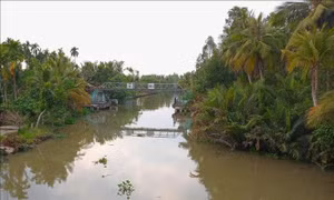 Chủ động đủ nước trong đợt cao điểm khô hạn