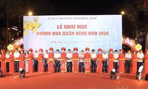 Khai mạc nhiều hoạt động tôn vinh bản sắc văn hóa Tết