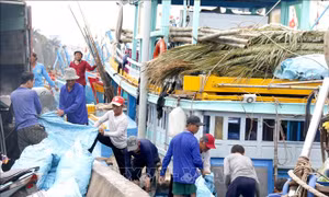 Khắc phục ‘thẻ vàng’ IUU: Rộn ràng xuất bến đầu năm, bám biển giữ ngư trường